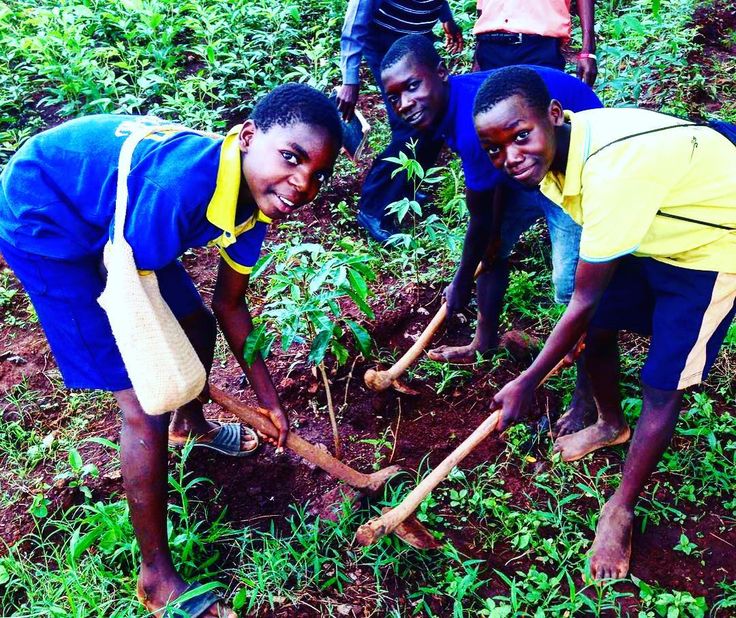 Home whatsapp image 2026 01 20 at 12.47.29